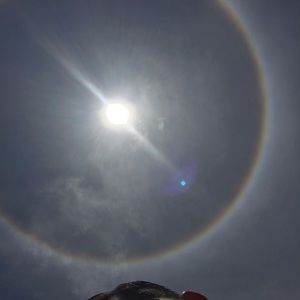 Meet your Posher, Willie